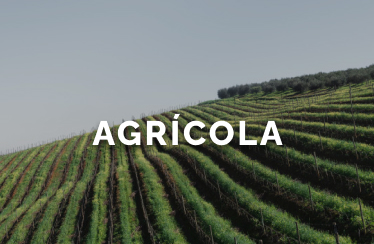 agricola